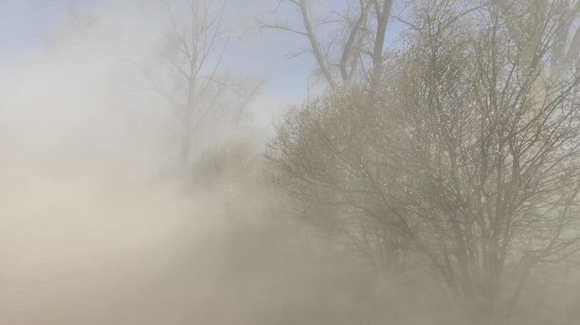 „Lubelska Sahara” w Kijowcu. Nietypowe zjawisko pogodowe [zdjęcia, wideo]