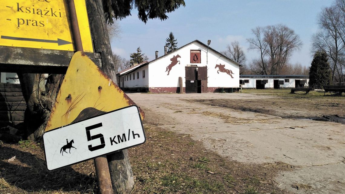 Lubelski Klub Jeździecki opuścił teren nad Bystrzycą. Jedne konie odjechały, czy pojawią się inne?