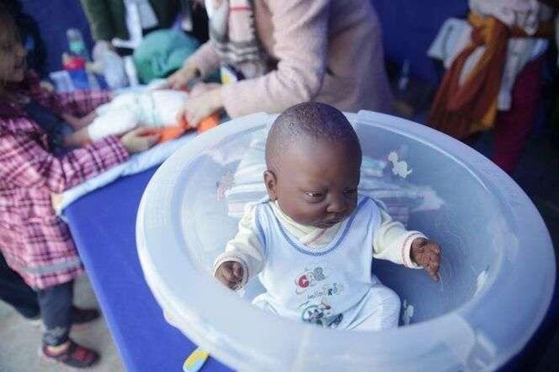 Lubelski Piknik Naukowy: Co czuje kobieta w 9 miesiącu ciąży? Jak reanimować psa? Lubelski Piknik Naukowy: Co czuje kobieta w 9 miesiącu ciąży? Jak reanimować psa?