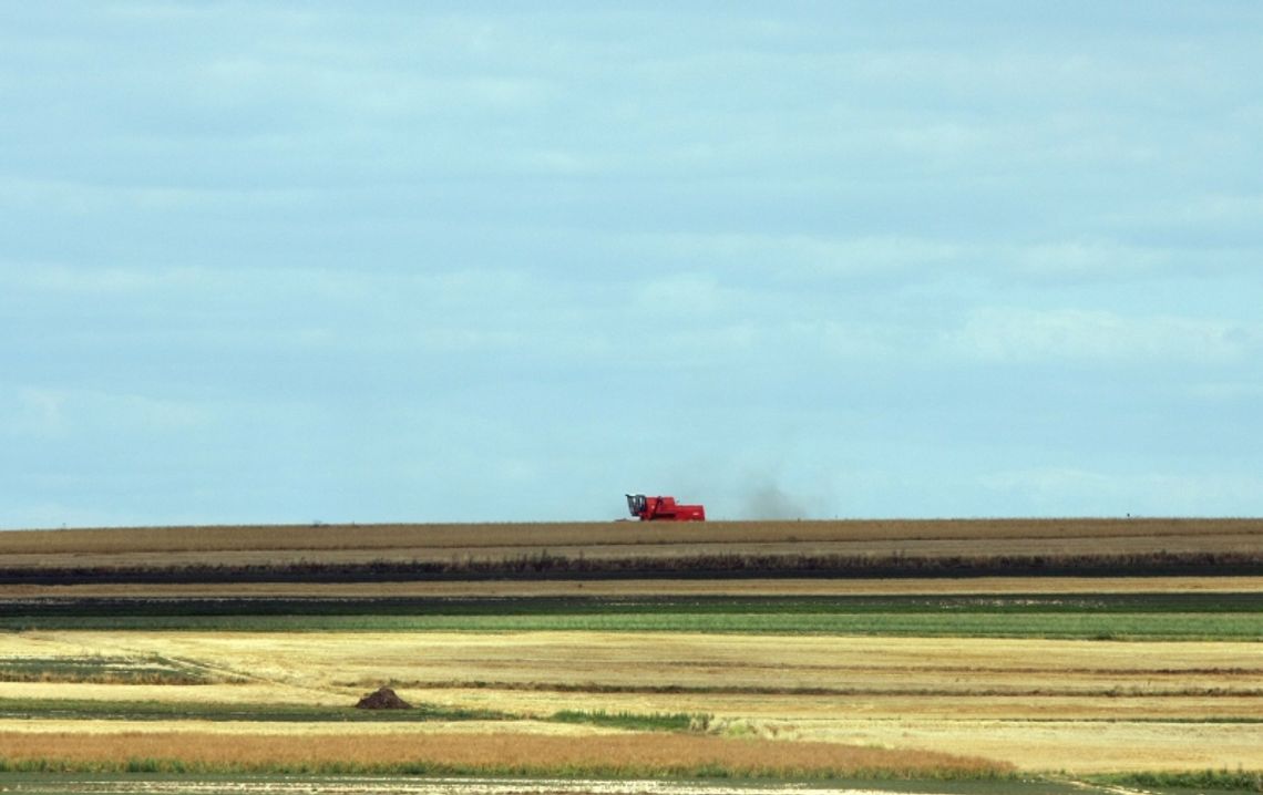 Lubelski rolnik głównie sadzi i sieje