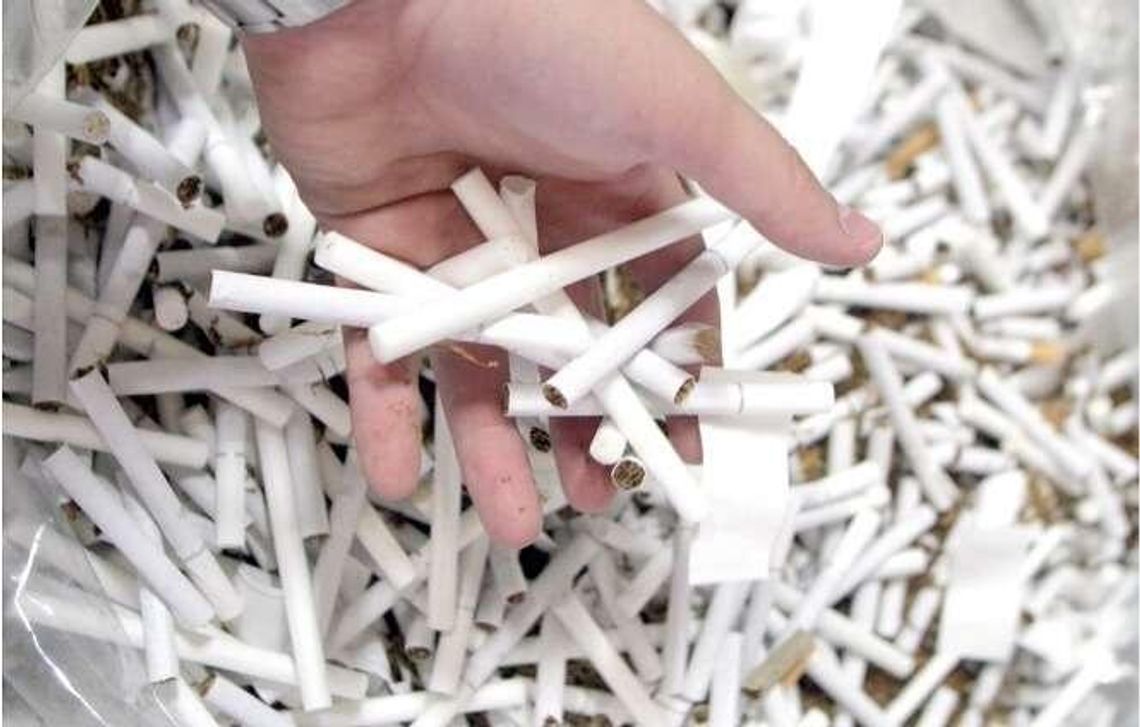 Lubelski tytoń pod lupą prokuratury. Wyprowadzali pieniądze, żeby nie płacić podatków?