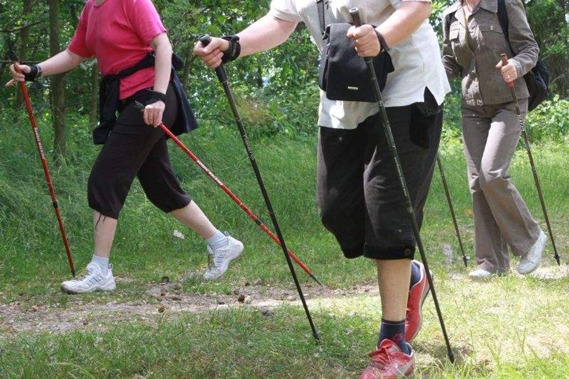 Lubelskie: 160 km oznakowanych szlaków nordic walking