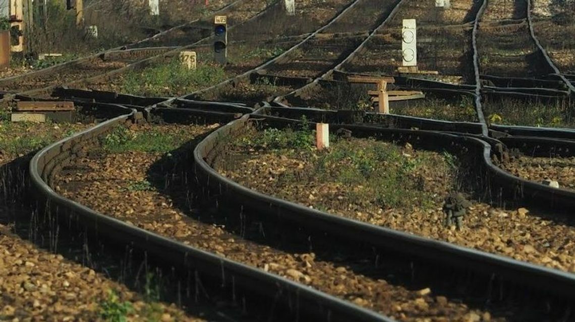 Lubelskie. 18-latek wszedł pod jadącą lokomotywę, zginął na miejscu Lubelskie. 18-latek wszedł pod jadącą lokomotywę, zginął na miejscu