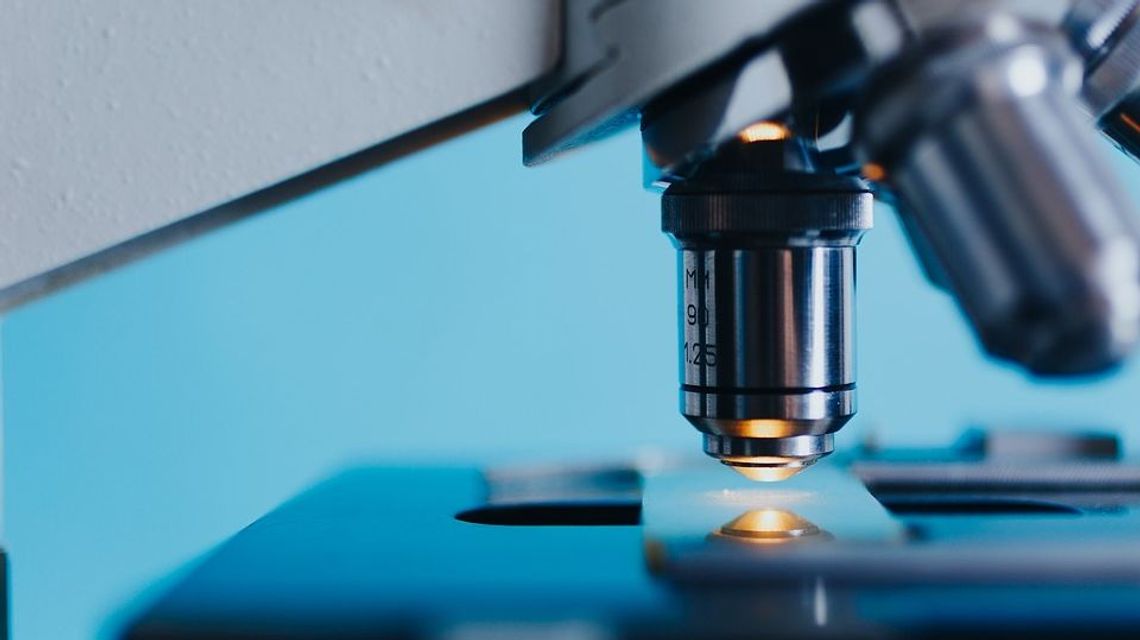 Lubelskie: 21 zatruć salmonellą w przedszkolach. Co było przyczyną?