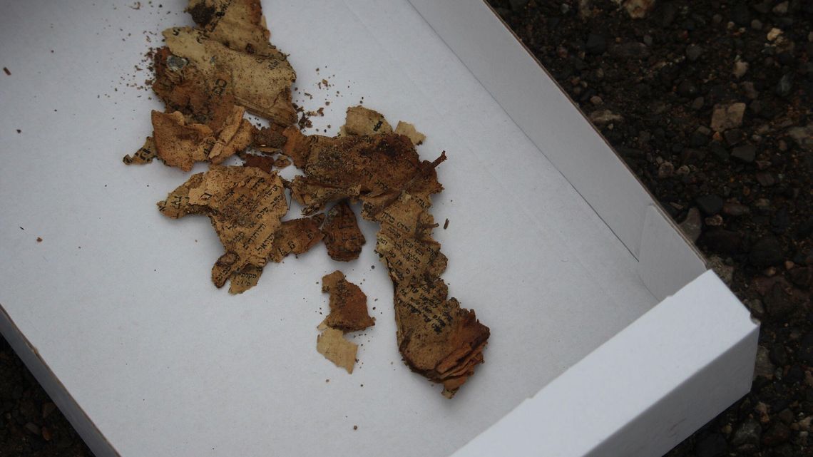 Lubelskie. Archeolodzy szukali synagogi. Co znaleźli? 