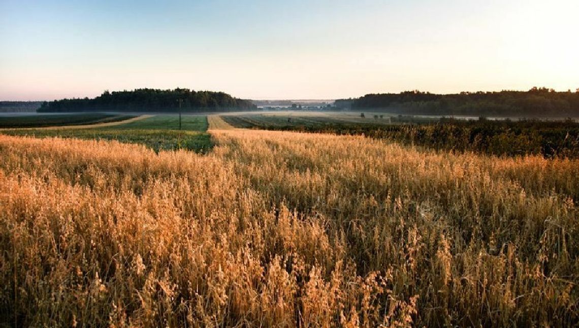 Lubelskie. Będą porządki w nazwach miejscowości Lubelskie. Będą porządki w nazwach miejscowości