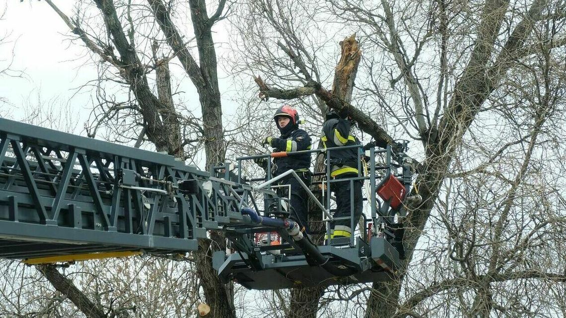 Lubelskie: Brak prądu, połamane drzewa i zniszczone budynki. Skutki wichury w regionie [zdjęcia, wideo]