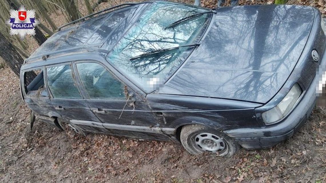 Lubelskie: Chciała uniknąć wypadku. Uderzyła w drzewo