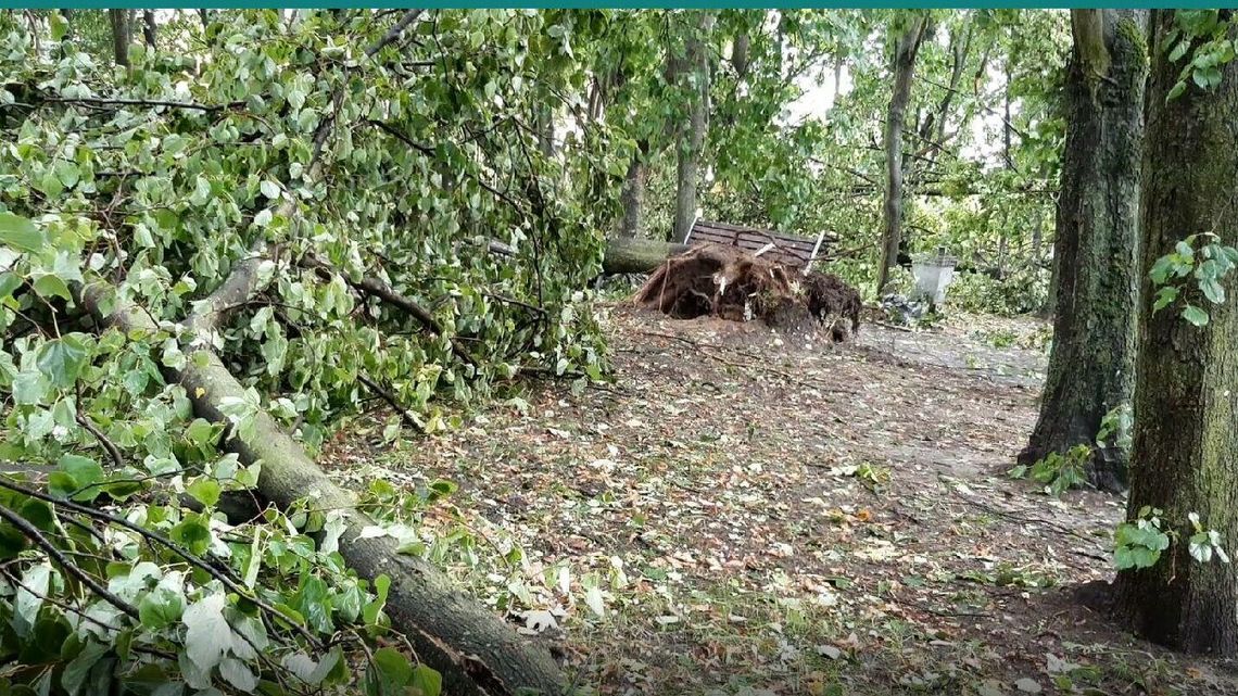 Lubelskie. Chwile grozy. Momentalna burza, a takie zniszczenia