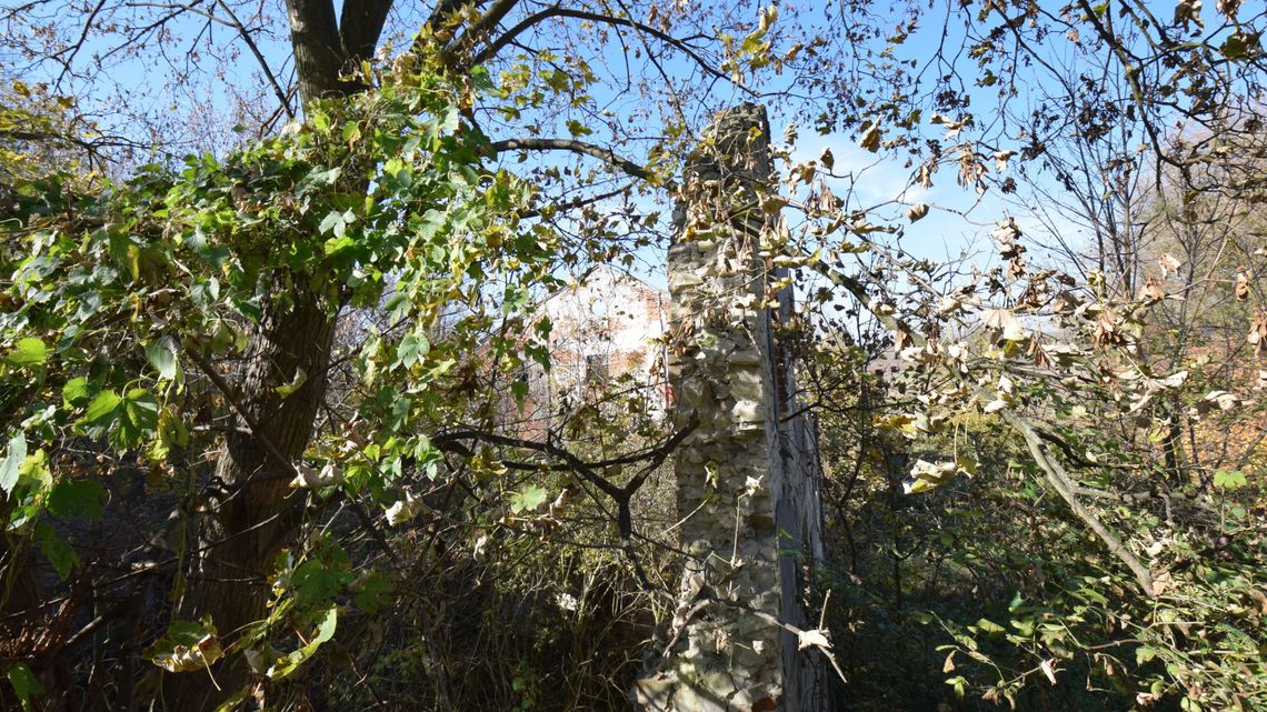 Lubelskie: Co warto zobaczyć w naszym regionie? Zaledwie parę kilometrów za Lublinem