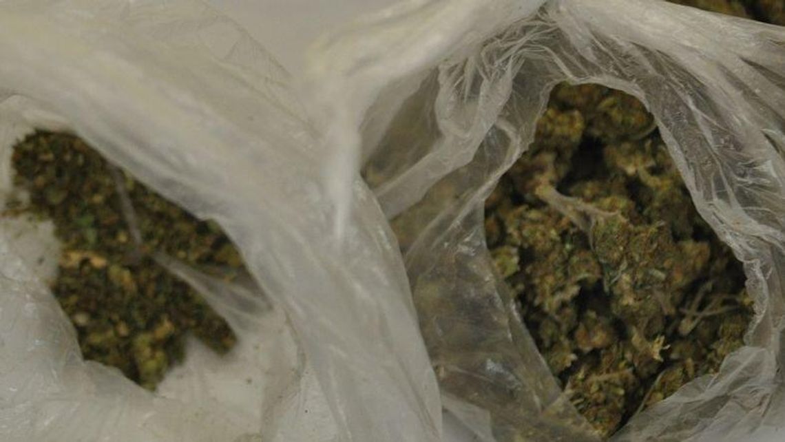 Lubelskie. Dilera zdradziły prace w ogródku