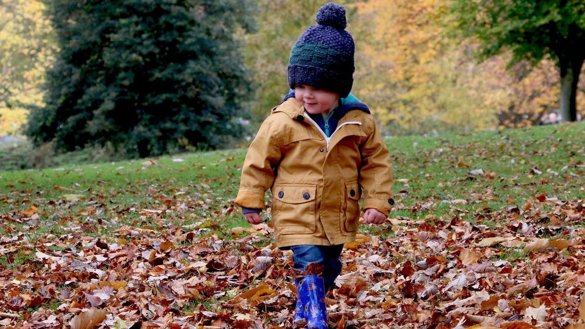 Lubelskie: Dziadek odebrał z przedszkola nie swojego wnuka. Dał mu zupę i włączył bajkę