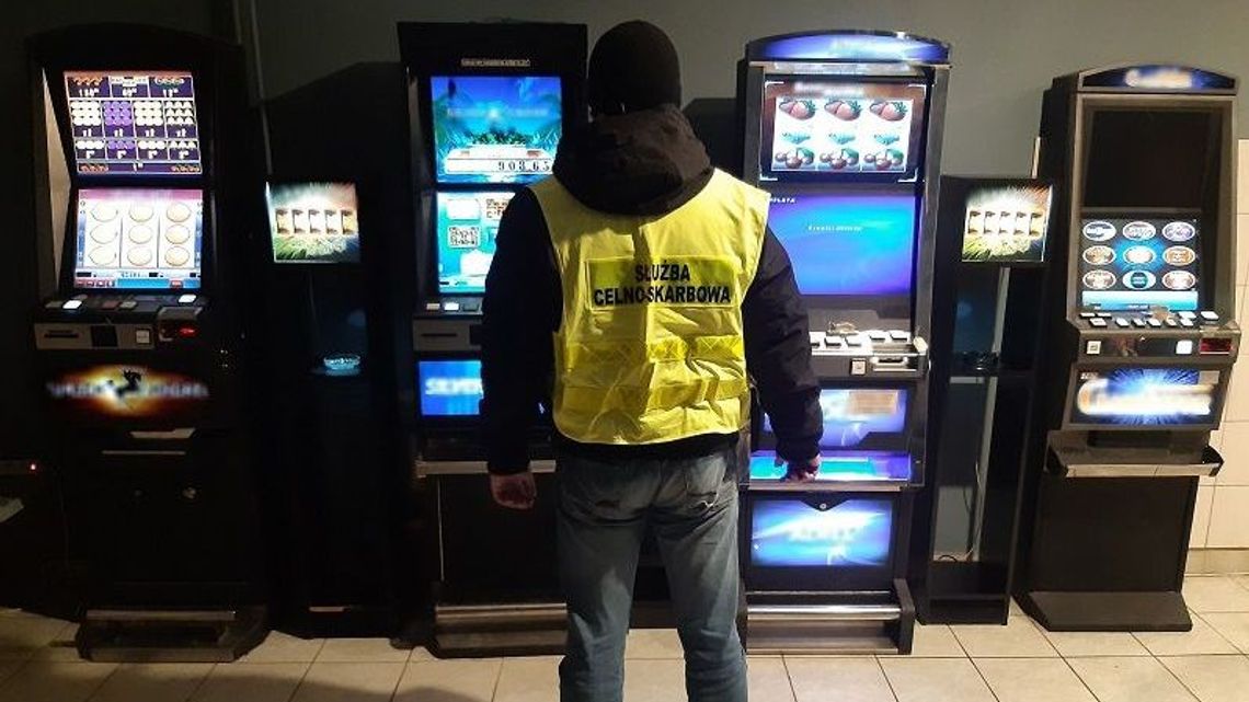 Lubelskie: Ekstrakt z konika morskiego czy skóra wilka. Zobacz, jakie rzeczy zatrzymują celnicy