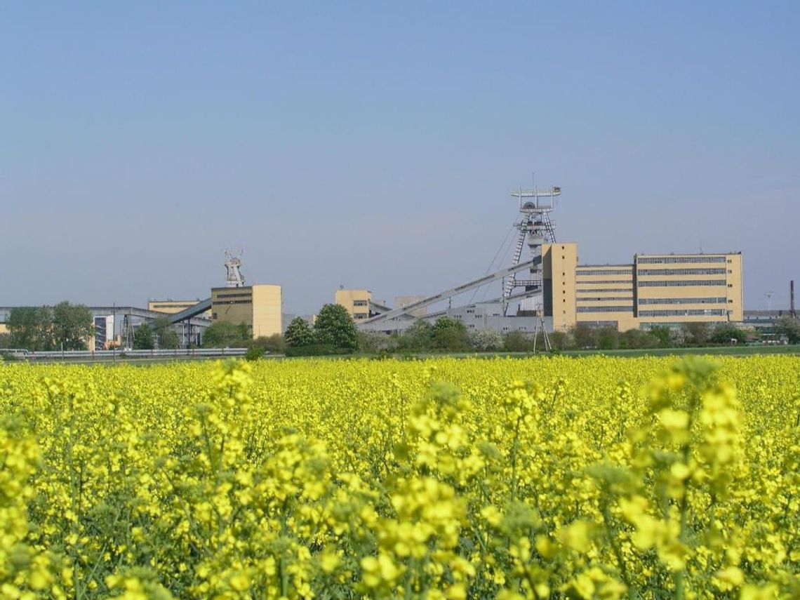 Lubelskie gminy pod kreską. Puchaczów wciąż najbogatszy Lubelskie gminy pod kreską. Puchaczów wciąż najbogatszy