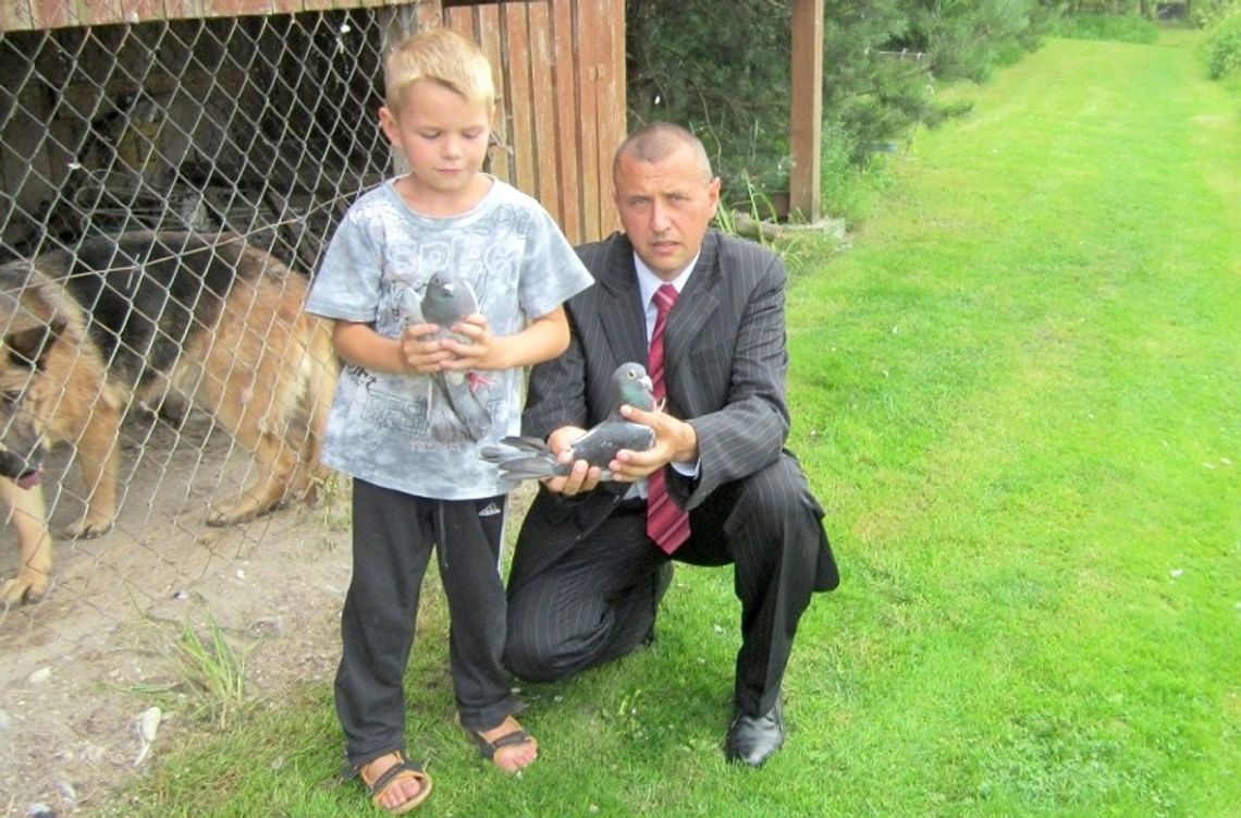 Lubelskie gołębie przyleciały z Londynu