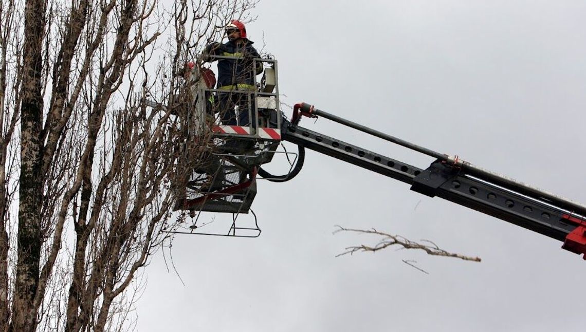 Lubelskie. IMGW ostrzega przed silnym wiatrem