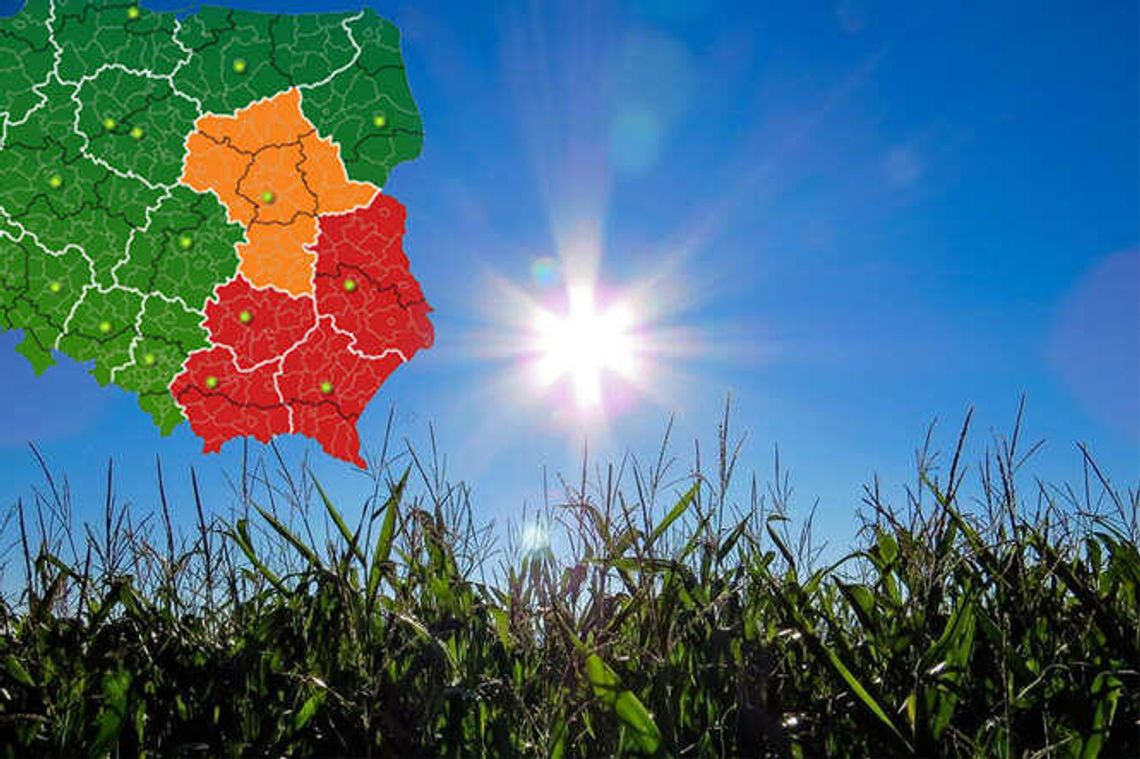 Lubelskie: IMGW ostrzega przed upałami