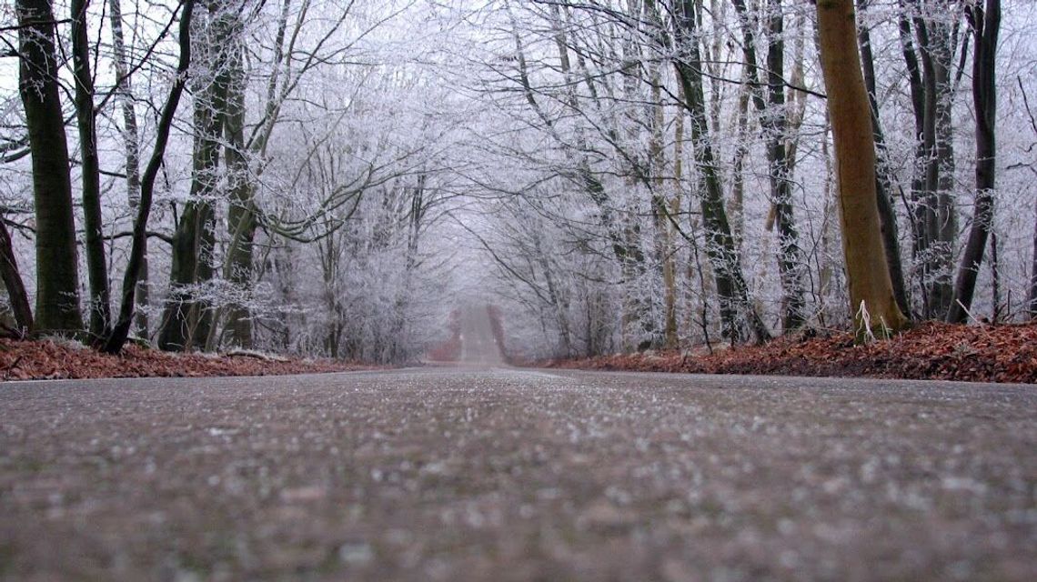 Lubelskie. IMGW wydał ostrzeżenie. "Przy gruncie – 5 st. C"