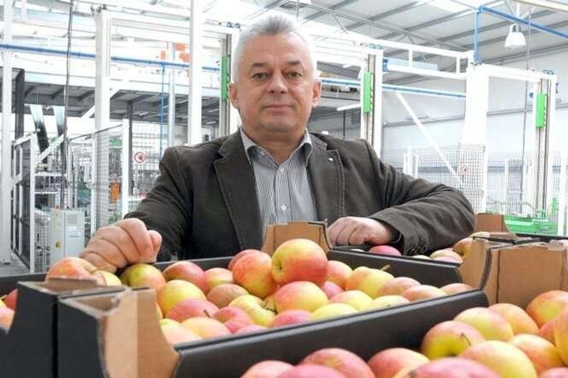 Lubelskie jabłka jedzą w Chinach. "Ale to nie zastąpi rynku rosyjskiego"