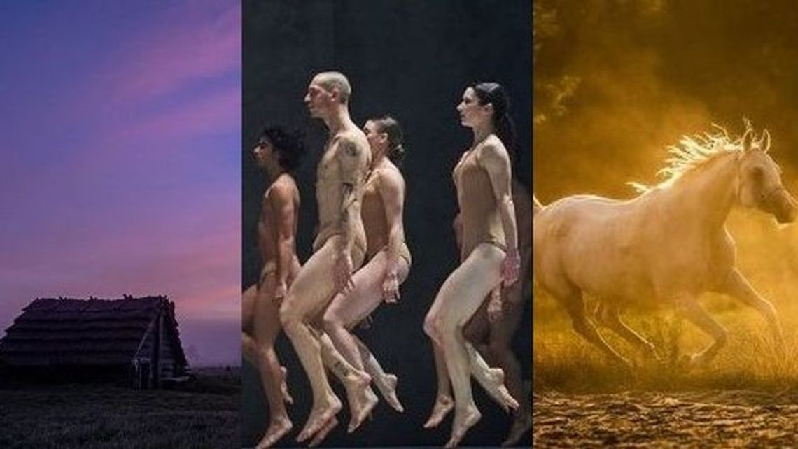 Lubelskie jakiego nie znacie, a jakie udało się sfotografować. Znamy zwycięzców konkursu