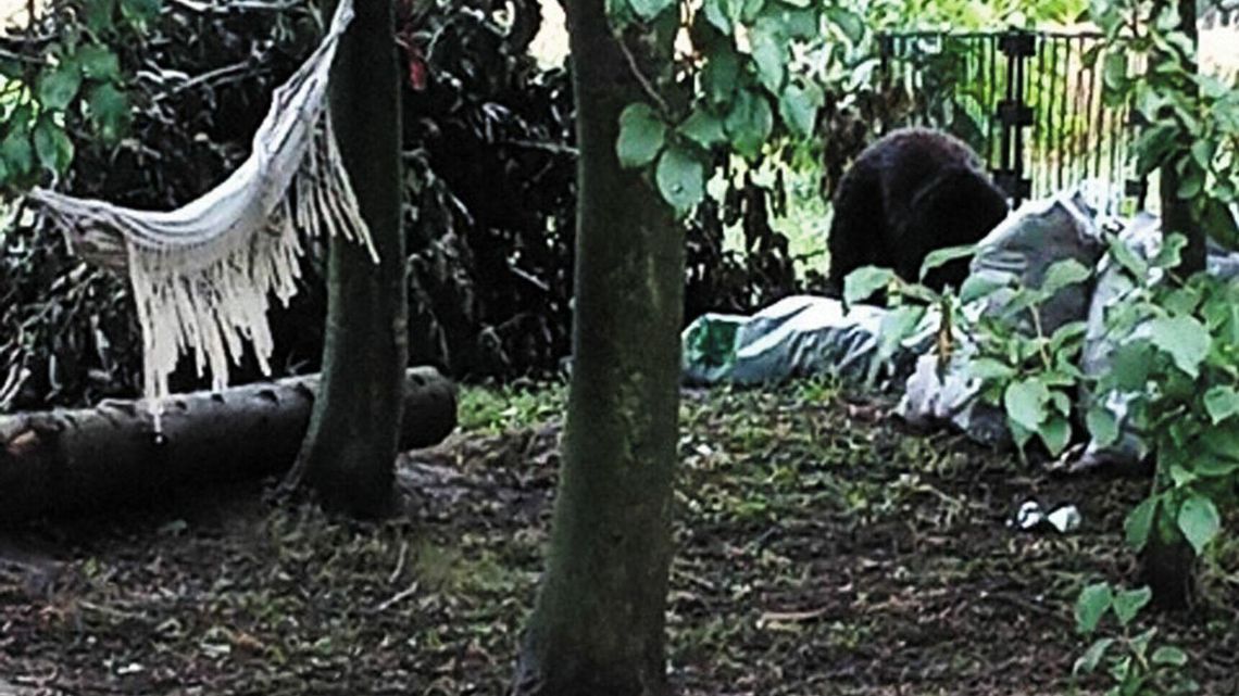 Lubelskie. Jedno zdjęcie, a we wsi strach