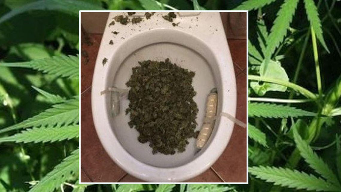 Lubelskie. Kiedy weszła policja pozbywał się marihuany, ale sedes nie dał rady Lubelskie. Kiedy weszła policja pozbywał się marihuany, ale sedes nie dał rady