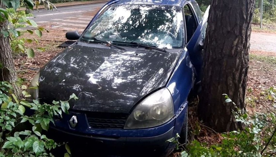 Lubelskie: Kobieta podróżowała z rocznym dzieckiem. Samochód wjechał w drzewo