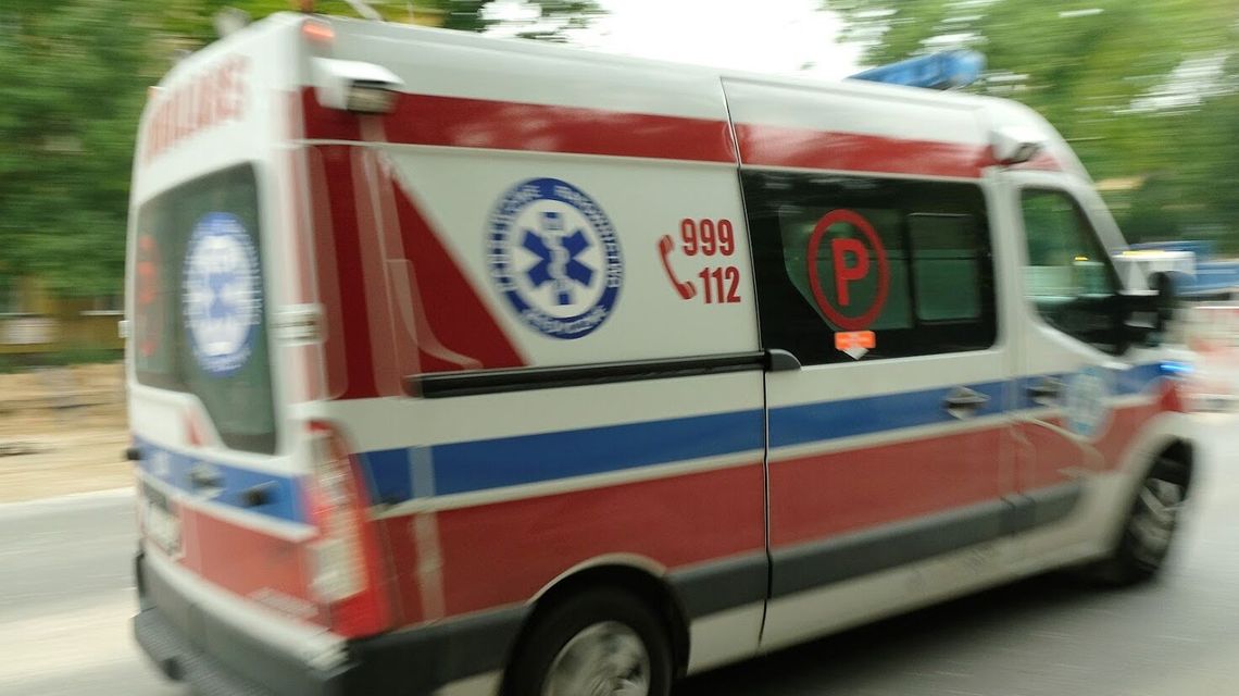 Lubelskie. Kobieta zagryziona przez psy. Należały do jej syna