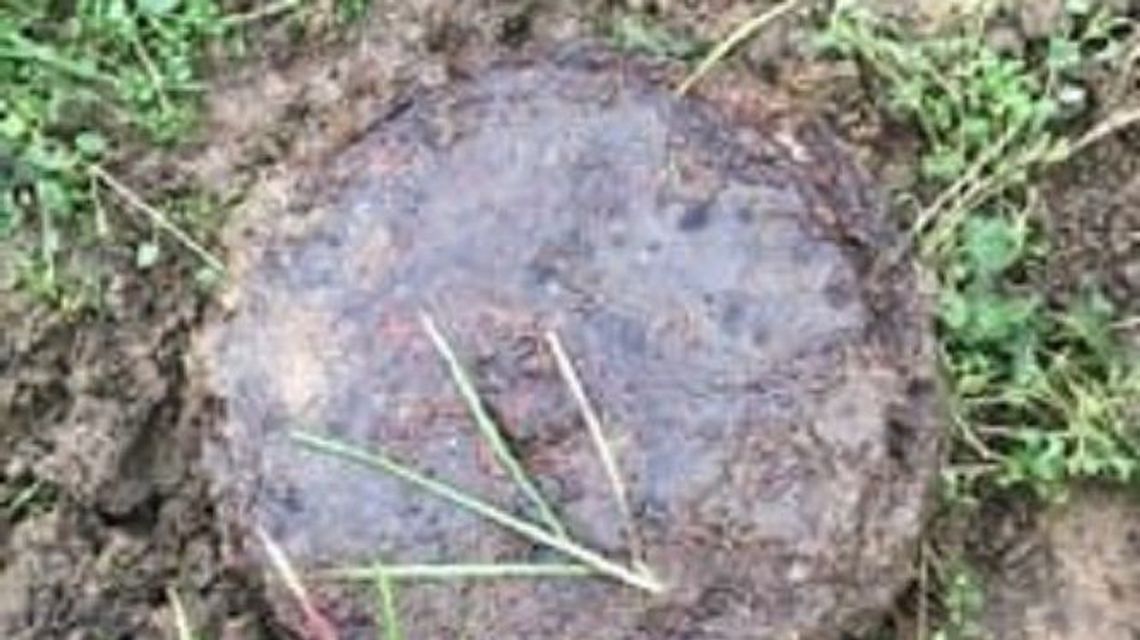 Lubelskie: Kobieta znalazła w swoim ogrodzie niewybuch z czasów II WŚ Lubelskie: Kobieta znalazła w swoim ogrodzie niewybuch z czasów II WŚ