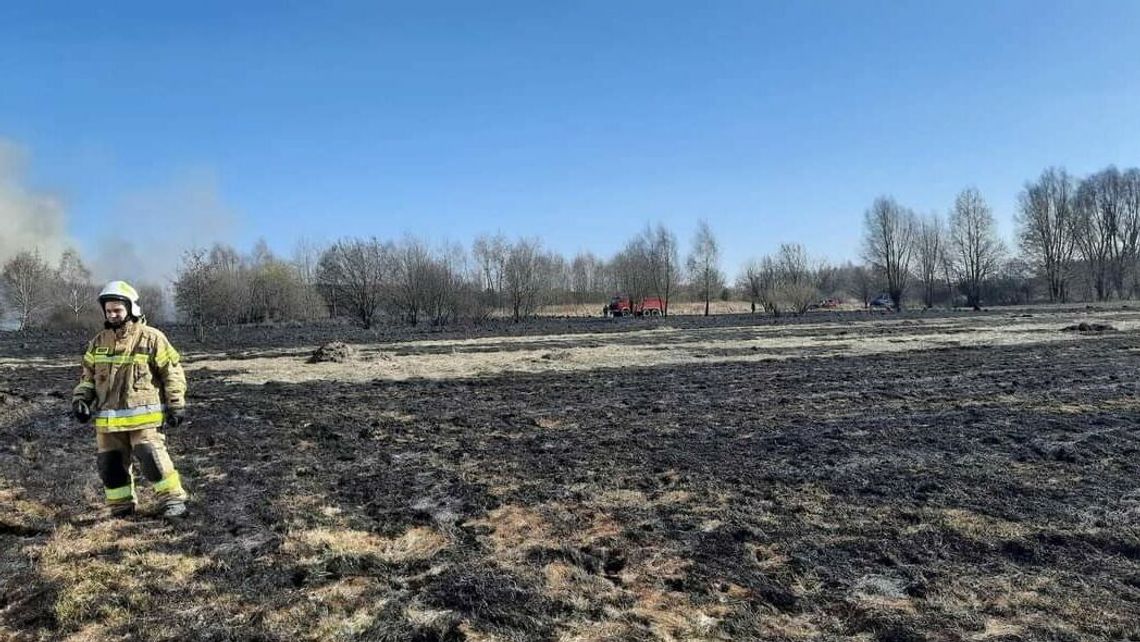 Lubelskie. Kolejna ofiara wypalania traw. Tym razem starsza kobieta