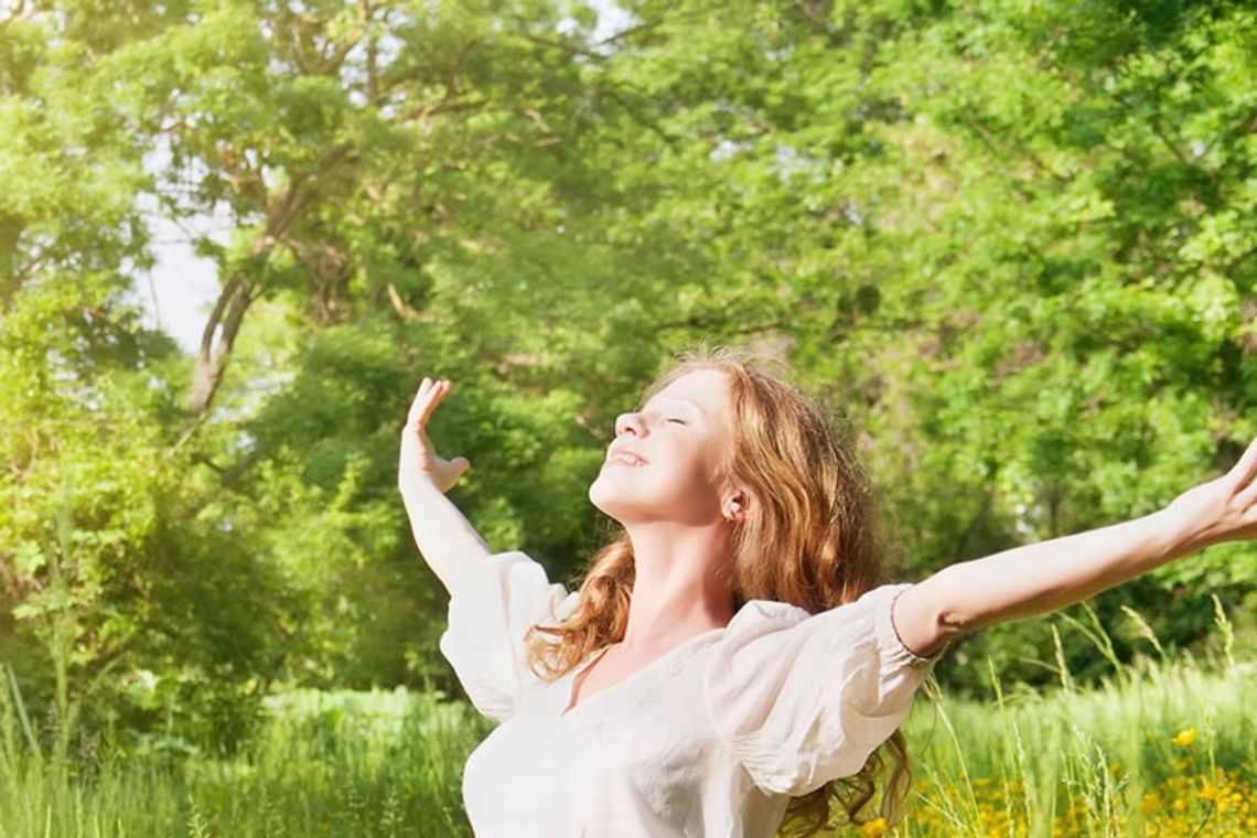 Lubelskie Lato 2013. Targi w Wierzchowiskach (program)