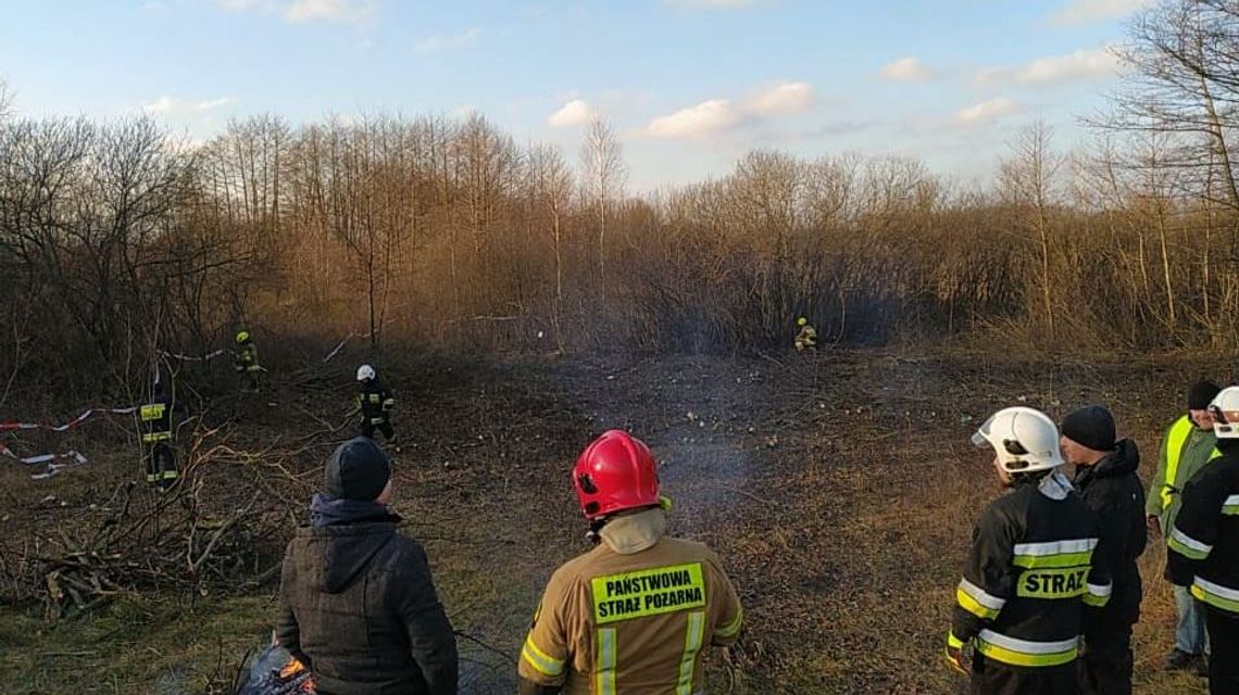 Lubelskie. Makabryczne znalezisko. Wyszedł z psem i znalazł rozczłonkowane zwłoki