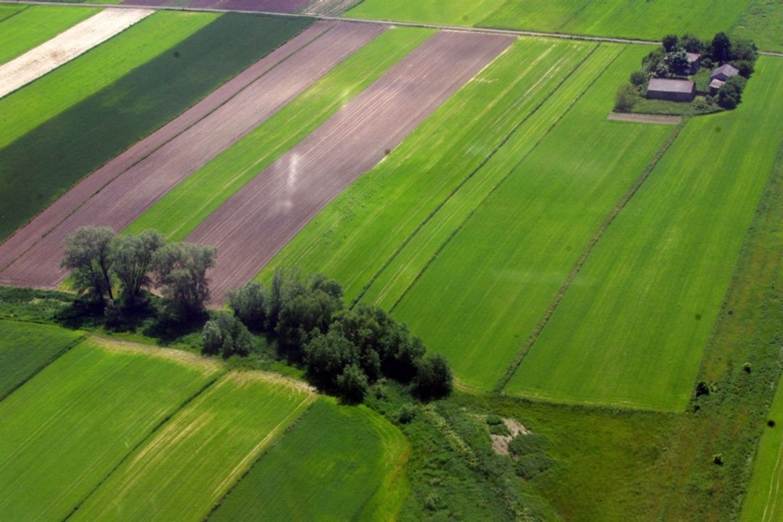 Lubelskie. Mekka smaków. Co i gdzie zobaczyć?