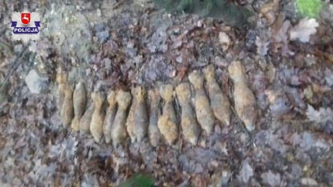 Lubelskie: Mężczyzna zauważył w lesie wystające z ziemi granaty moździerzowe