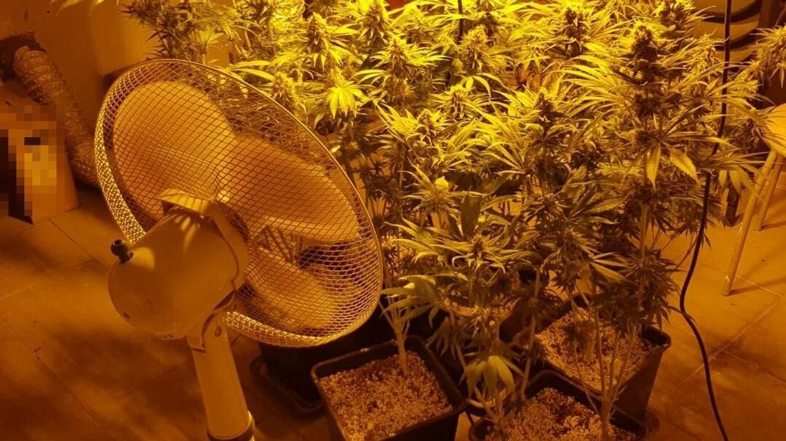 Lubelskie. Miał „dwa etaty”. W piwnicy ten nielegalny