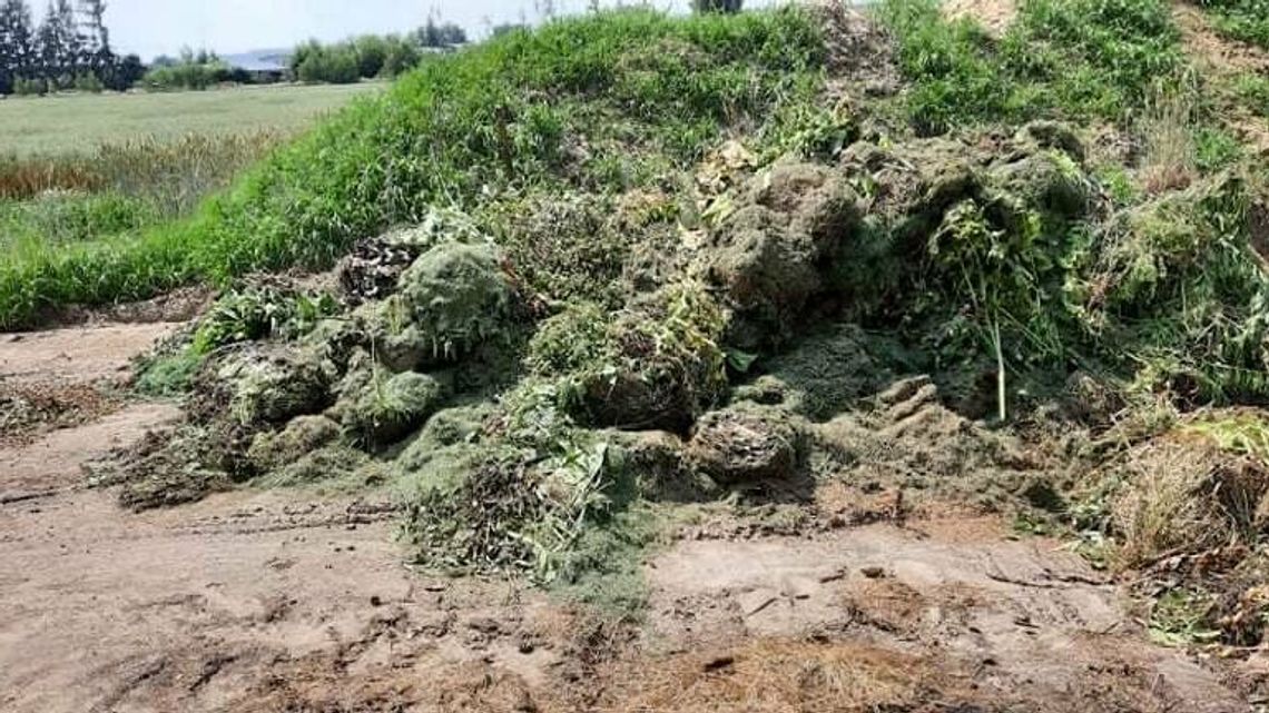 Lubelskie. Miasto zrobiło sobie wielki kompostownik, a posłanka pyta o pozwolenie