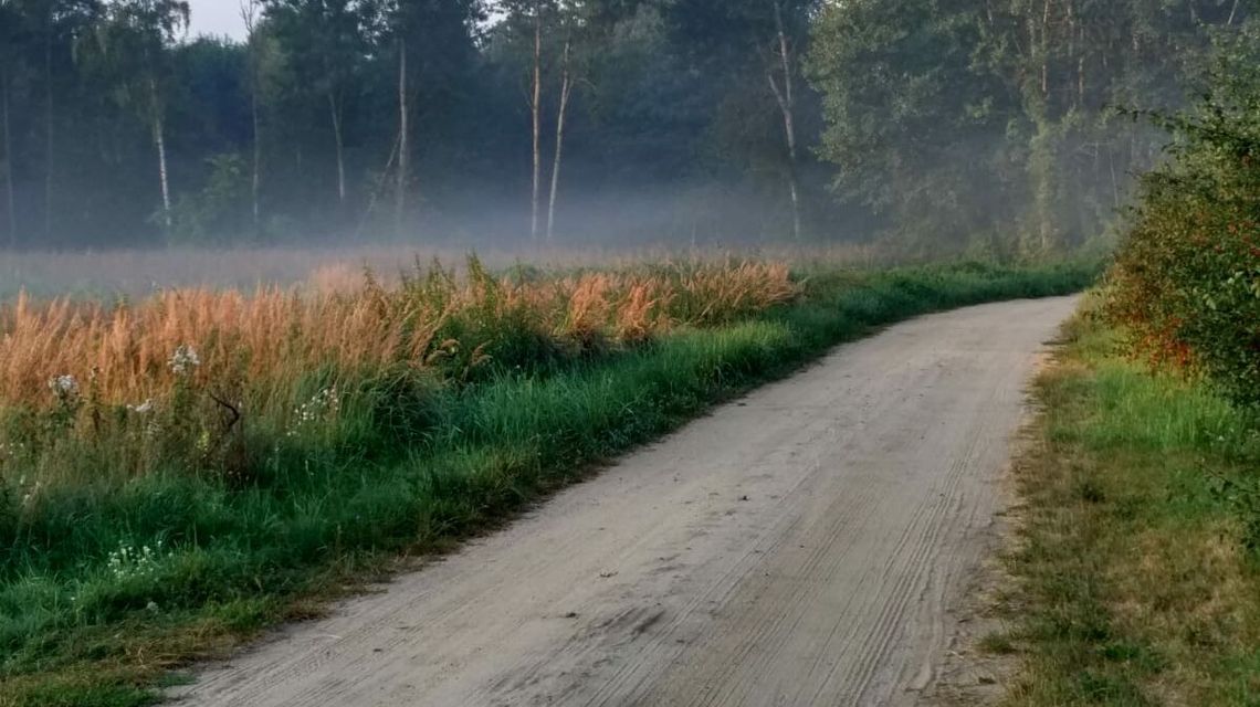 Lubelskie: Mieszkańcy nie chcą kopalni kruszywa. "To odstraszy nam turystów"