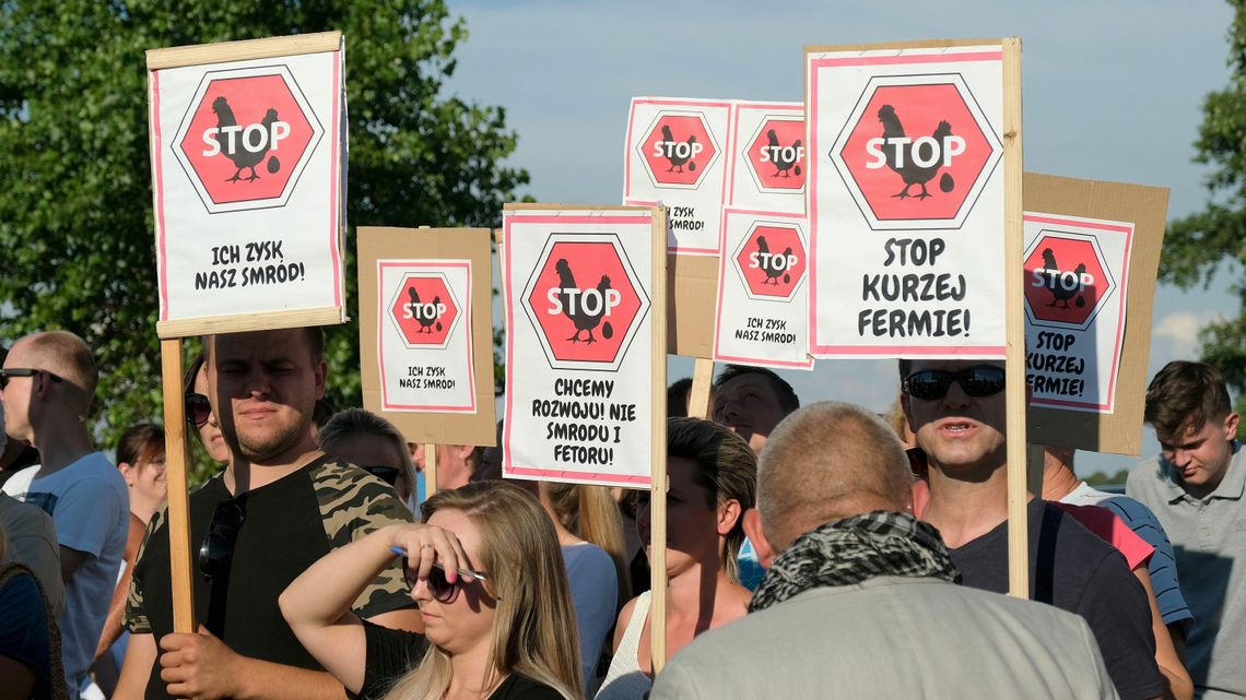 Lubelskie. Mieszkańcy wygrali. Kurników nie będzie