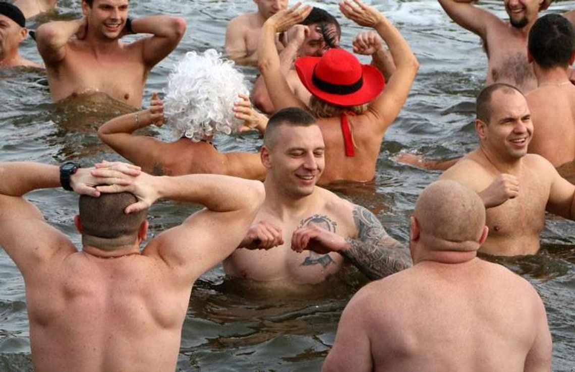 Lubelskie morsy w wodzie (zdjęcia)