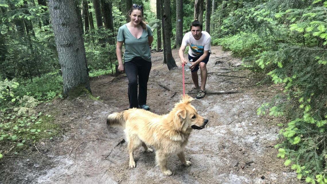 Lubelskie. Myśliwy zastrzelił psa na oczach właściciela [drastyczne zdjęcia]