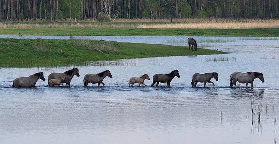 Lubelskie na Majówkę. Wybraliście najlepsze zdjęcie Lubelskie na Majówkę. Wybraliście najlepsze zdjęcie