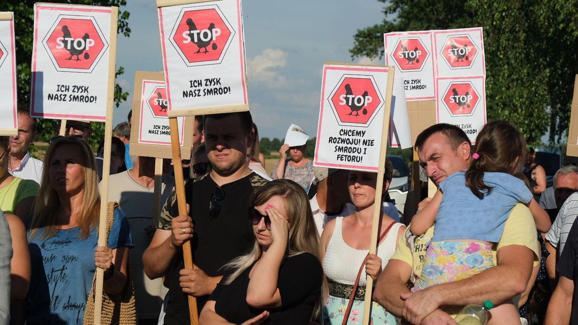 Lubelskie: Nagle dowiedzieli się, że w ich wsi mają powstać kurniki na 240 tys. brojlerów