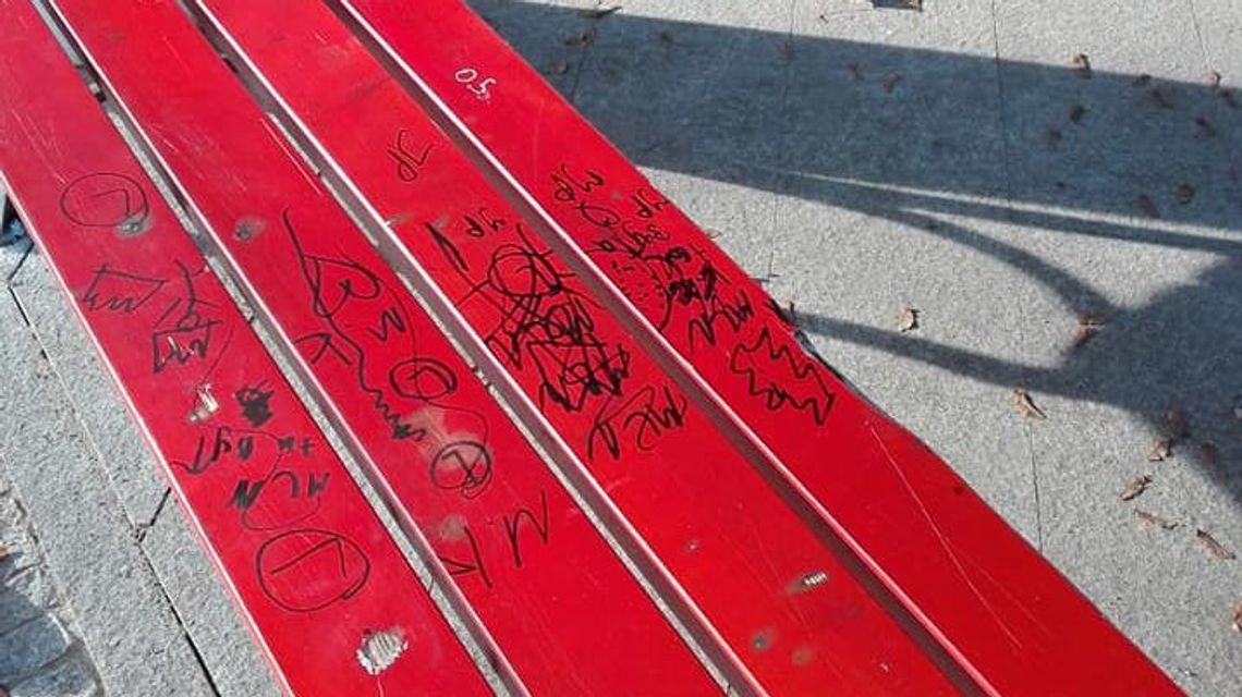 Lubelskie: Nastolatki pomazały ławki w parku. Urzędnicy zamieścili nietypowy apel Lubelskie: Nastolatki pomazały ławki w parku. Urzędnicy zamieścili nietypowy apel