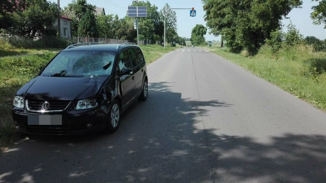 Lubelskie: Nie żyje 14-letnia dziewczyna potrącona przez pijanego kierowcę Lubelskie: Nie żyje 14-letnia dziewczyna potrącona przez pijanego kierowcę