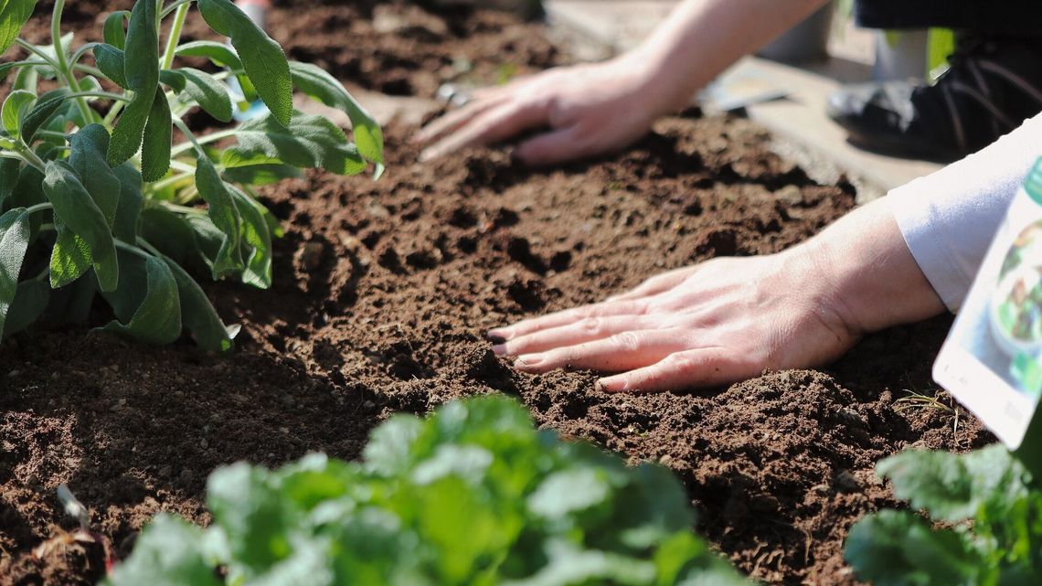 Lubelskie. Nowość w systemie oświaty. To będzie jedyna taka szkoła w Polsce Lubelskie. Nowość w systemie oświaty. To będzie jedyna taka szkoła w Polsce