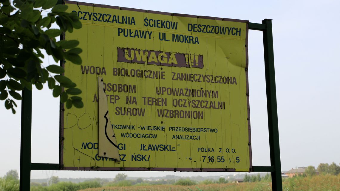Lubelskie. Oczyszczalnia zarasta trzciną. Urzędnicy czekają na mróz Lubelskie. Oczyszczalnia zarasta trzciną. Urzędnicy czekają na mróz