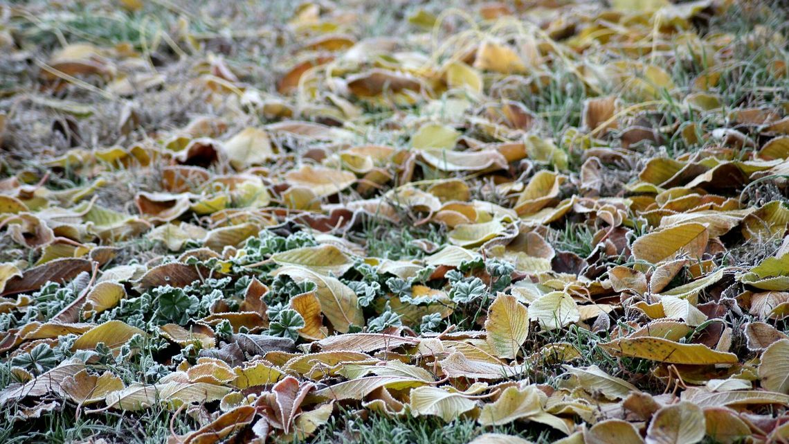 Lubelskie. Ostrzeżenie pogodowe dla części regionu