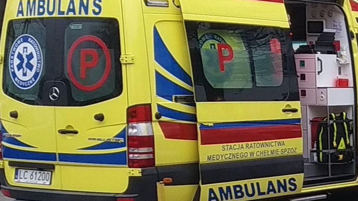 Lubelskie: Pies pogryzł pracownika McDonald's. Nie wiadomo, czy był szczepiony Lubelskie: Pies pogryzł pracownika McDonald's. Nie wiadomo, czy był szczepiony