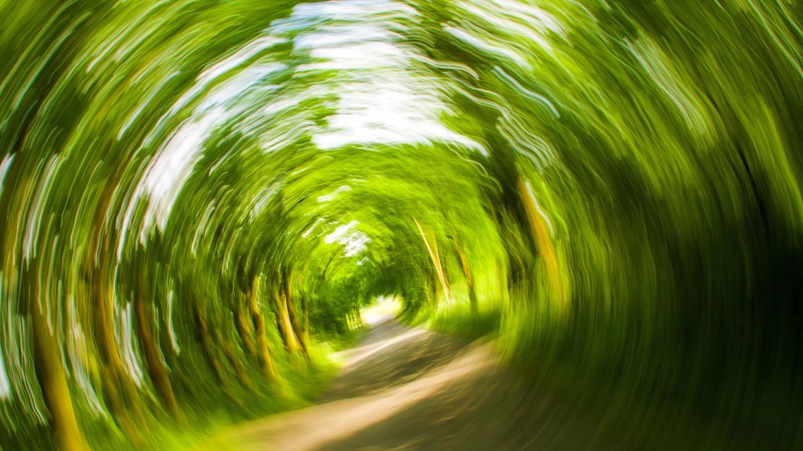 Lubelskie. Pijany policjant zajechał przed komendę. W ostatnim czasie to kolejny podobny przypadek Lubelskie. Pijany policjant zajechał przed komendę. W ostatnim czasie to kolejny podobny przypadek