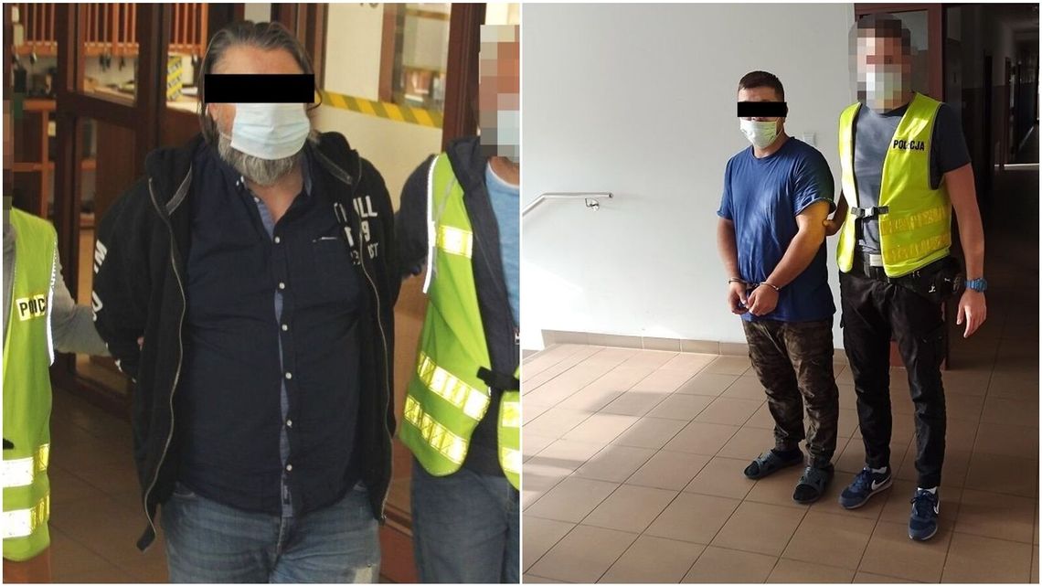 Lubelskie: Policjanci zlikwidowali plantację konopi indyjskich. Ponad 1400 krzewów [wideo]